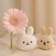 ヒメ日記 2025/05/25 19:23 投稿 神無月 きよか　完全ＳＳＳ美 ファーストクラス ルビー