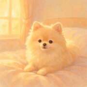 ヒメ日記 2025/05/27 04:13 投稿 神無月 きよか　完全ＳＳＳ美 ファーストクラス ルビー