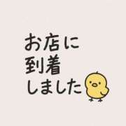 ヒメ日記 2025/06/08 05:43 投稿 神無月 きよか　完全ＳＳＳ美 ファーストクラス ルビー