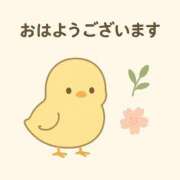 ヒメ日記 2025/06/30 05:53 投稿 神無月 きよか　完全ＳＳＳ美 ファーストクラス ルビー