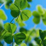 ヒメ日記 2025/08/08 20:13 投稿 神無月 きよか　完全ＳＳＳ美 ファーストクラス ルビー