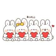 ヒメ日記 2026/01/25 23:13 投稿 神無月 きよか　完全ＳＳＳ美 ファーストクラス ルビー