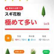 ヒメ日記 2026/04/03 07:13 投稿 神無月 きよか　完全ＳＳＳ美 ファーストクラス ルビー