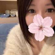 ヒメ日記 2026/04/03 16:13 投稿 神無月 きよか　完全ＳＳＳ美 ファーストクラス ルビー