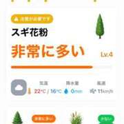 ヒメ日記 2026/04/05 08:09 投稿 神無月 きよか　完全ＳＳＳ美 ファーストクラス ルビー