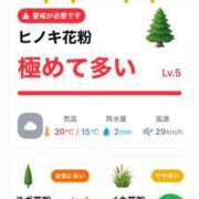ヒメ日記 2026/04/09 06:07 投稿 神無月 きよか　完全ＳＳＳ美 ファーストクラス ルビー