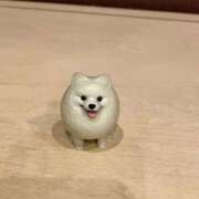 ヒメ日記 2026/04/10 13:43 投稿 神無月 きよか　完全ＳＳＳ美 ファーストクラス ルビー