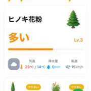 ヒメ日記 2026/04/14 09:13 投稿 神無月 きよか　完全ＳＳＳ美 ファーストクラス ルビー