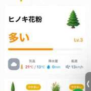 ヒメ日記 2026/04/18 07:03 投稿 神無月 きよか　完全ＳＳＳ美 ファーストクラス ルビー