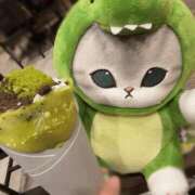 ヒメ日記 2025/05/14 05:31 投稿 西野 はじめ　未経験Ｍおしとやか ファーストクラス ルビー