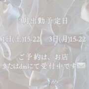 ヒメ日記 2025/02/28 15:33 投稿 日向瀬 せな 極上超カワ美少女 ファーストクラス ルビー