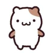 ヒメ日記 2025/12/22 20:23 投稿 日向瀬 せな 極上超カワ美少女 ファーストクラス ルビー