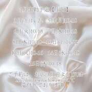 ヒメ日記 2025/12/24 09:33 投稿 日向瀬 せな 極上超カワ美少女 ファーストクラス ルビー