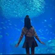 ヒメ日記 2025/04/29 17:14 投稿 文月 みや　モデル体型スレンダー ファーストクラス ルビー