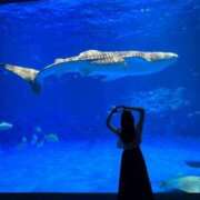 ヒメ日記 2025/07/02 12:05 投稿 文月 みや　モデル体型スレンダー ファーストクラス ルビー