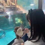 ヒメ日記 2025/11/30 12:03 投稿 文月 みや　モデル体型スレンダー ファーストクラス ルビー