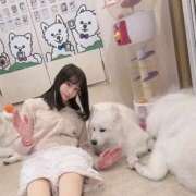 ヒメ日記 2026/01/25 20:23 投稿 文月 みや　モデル体型スレンダー ファーストクラス ルビー