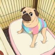 ヒメ日記 2025/04/27 06:37 投稿 横浜まゆう完全にＳＳＳ級 ファーストクラス ルビー