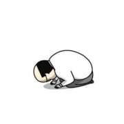 ヒメ日記 2025/04/29 14:43 投稿 横浜まゆう完全にＳＳＳ級 ファーストクラス ルビー