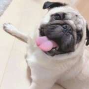 ヒメ日記 2026/02/19 17:23 投稿 横浜まゆう完全にＳＳＳ級 ファーストクラス ルビー