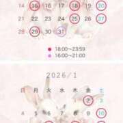 ヒメ日記 2025/12/27 23:14 投稿 綿里 りま　Gカップ高身長 ファーストクラス ルビー