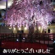 ヒメ日記 2025/03/24 01:36 投稿 葉山さな 五十路マダムエクスプレス横浜店（カサブランカグループ）