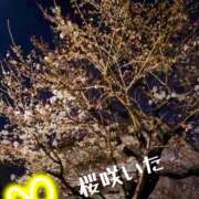 ヒメ日記 2025/03/27 17:58 投稿 葉山さな 五十路マダムエクスプレス横浜店（カサブランカグループ）