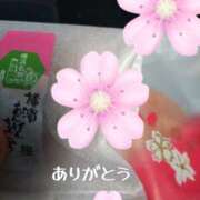 ヒメ日記 2025/03/28 16:36 投稿 葉山さな 五十路マダムエクスプレス横浜店（カサブランカグループ）