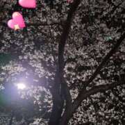 ヒメ日記 2025/03/28 23:54 投稿 葉山さな 五十路マダムエクスプレス横浜店（カサブランカグループ）