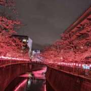 ヒメ日記 2025/04/03 17:56 投稿 葉山さな 五十路マダムエクスプレス横浜店（カサブランカグループ）