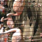 ヒメ日記 2025/05/23 17:56 投稿 葉山さな 五十路マダムエクスプレス横浜店（カサブランカグループ）