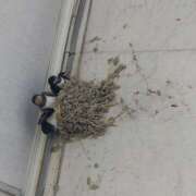 ヒメ日記 2025/07/17 18:02 投稿 葉山さな 五十路マダムエクスプレス横浜店（カサブランカグループ）