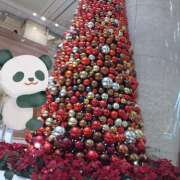 ヒメ日記 2025/11/21 18:28 投稿 葉山さな 五十路マダムエクスプレス横浜店（カサブランカグループ）