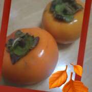 ヒメ日記 2025/11/22 01:32 投稿 葉山さな 五十路マダムエクスプレス横浜店（カサブランカグループ）