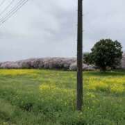 ヒメ日記 2026/02/15 15:08 投稿 もな 若妻淫乱倶楽部 古河店