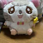 ヒメ日記 2026/03/05 09:07 投稿 もな 若妻淫乱倶楽部 古河店