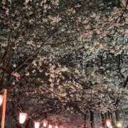 ヒメ日記 2026/04/01 12:09 投稿 もな 若妻淫乱倶楽部 古河店