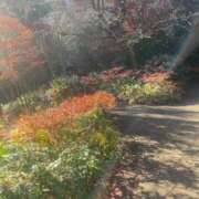 ヒメ日記 2024/12/21 17:40 投稿 かおる 出会い系人妻ネットワーク 新宿〜池袋編