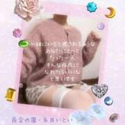 ヒメ日記 2024/12/12 10:52 投稿 糸井(いとい) 人妻出逢い会 百合の園 山の手本店