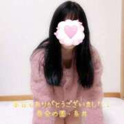 ヒメ日記 2024/12/12 21:38 投稿 糸井(いとい) 人妻出逢い会 百合の園 山の手本店