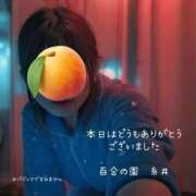 ヒメ日記 2025/01/18 00:32 投稿 糸井(いとい) 人妻出逢い会 百合の園 山の手本店