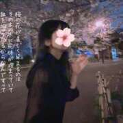 ヒメ日記 2025/04/02 10:48 投稿 糸井(いとい) 人妻出逢い会 百合の園 山の手本店