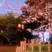 ヒメ日記 2025/04/08 17:08 投稿 糸井(いとい) 人妻出逢い会 百合の園 山の手本店