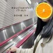 ヒメ日記 2025/04/12 04:26 投稿 糸井(いとい) 人妻出逢い会 百合の園 山の手本店