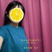 ヒメ日記 2025/04/16 23:37 投稿 糸井(いとい) 人妻出逢い会 百合の園 山の手本店