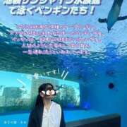 ヒメ日記 2025/05/12 09:54 投稿 糸井(いとい) 人妻出逢い会 百合の園 山の手本店