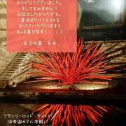 ヒメ日記 2025/05/15 15:17 投稿 糸井(いとい) 人妻出逢い会 百合の園 山の手本店