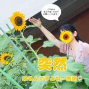 ヒメ日記 2025/07/23 18:37 投稿 糸井(いとい) 人妻出逢い会 百合の園 山の手本店