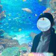 ヒメ日記 2025/09/05 10:26 投稿 糸井(いとい) 人妻出逢い会 百合の園 山の手本店