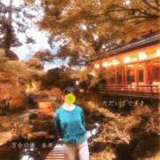 ヒメ日記 2025/11/10 20:27 投稿 糸井(いとい) 人妻出逢い会 百合の園 山の手本店